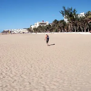 https://palm-garden-attico.in-canary-islands.com